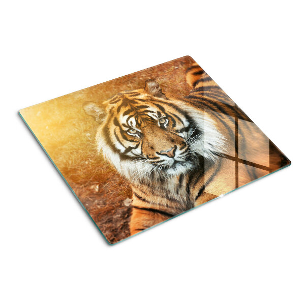 Glas skærebræt Tiger i solen