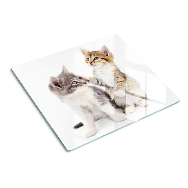 Glas skærebræt Katte på en hvid baggrund