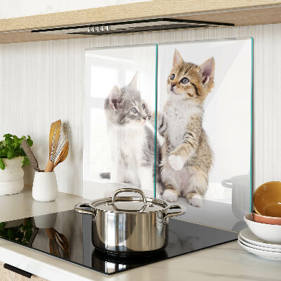Glas skærebræt Katte på en hvid baggrund