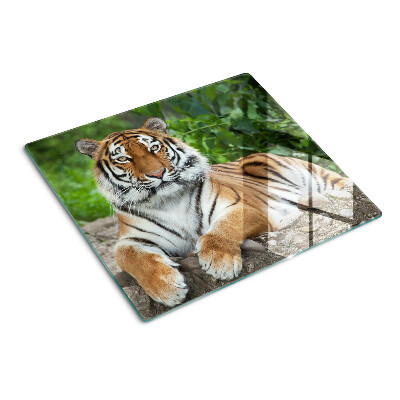 Glas skærebræt Tiger i sit naturlige habitat