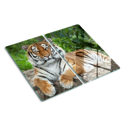 Glas skærebræt Tiger i sit naturlige habitat