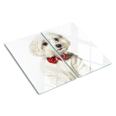Glas skærebræt Hund i en sweater med sløjfe