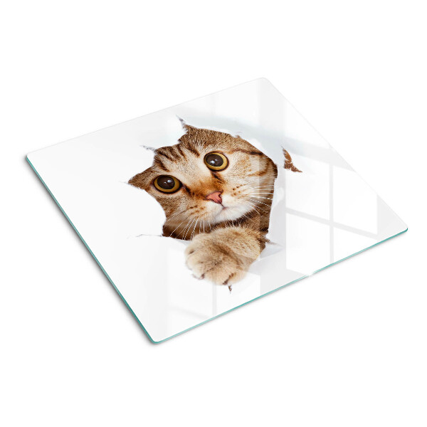 Glas skærebræt En kat kommer ud af et hul