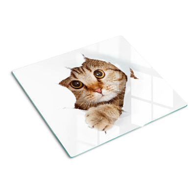 Glas skærebræt En kat kommer ud af et hul