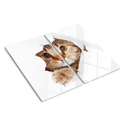 Glas skærebræt En kat kommer ud af et hul