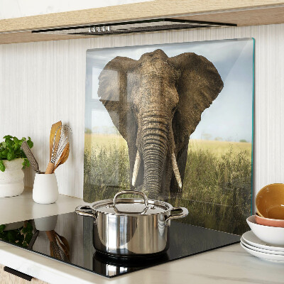 Skærebræt i glas En elefant mod den afrikanske savannes baggrund