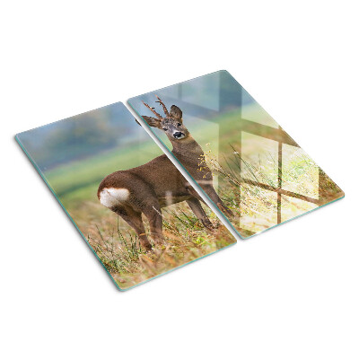 Glas skærebræt Rådyr i naturligt habitat