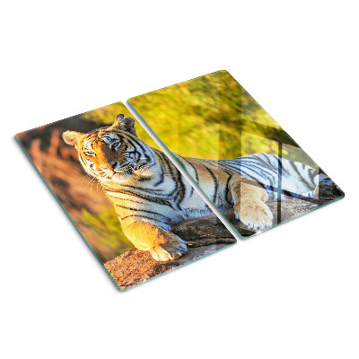 Glas skærebræt Tiger i naturens baggrund