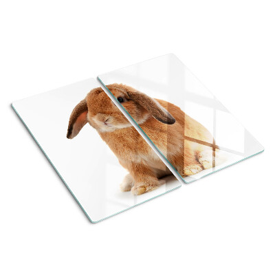 Skærebræt i glas Kanin på en hvid baggrund
