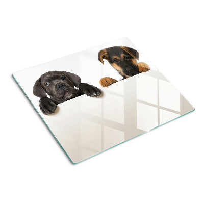 Glas skærebræt To hunde kigger sig omkring