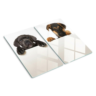 Glas skærebræt To hunde kigger sig omkring