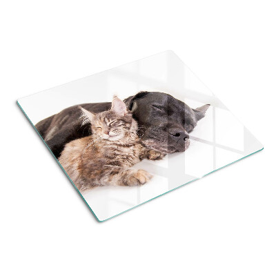 Skærebræt i glas Kat og hund sover sammen