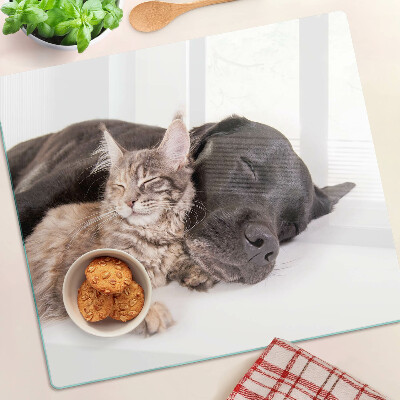 Skærebræt i glas Kat og hund sover sammen