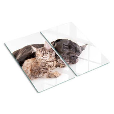 Skærebræt i glas Kat og hund sover sammen