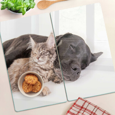 Skærebræt i glas Kat og hund sover sammen