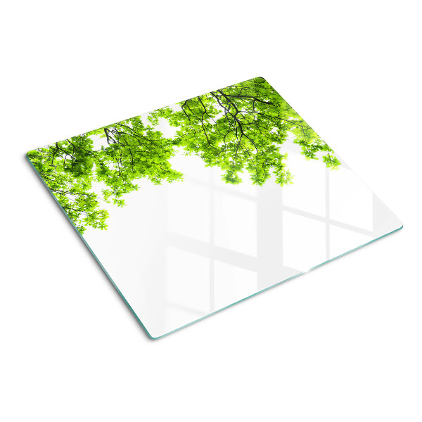 Skærebræt i glas Grønne blade mod himlen