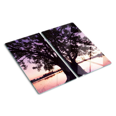 Glas skærebræt Træ ved solnedgang