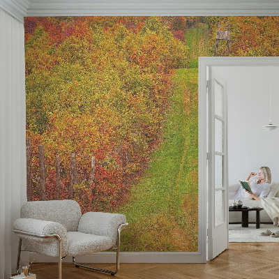 Fotovæg med efterårsfarver