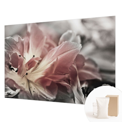 Fotostat med pastelblomstermotiv