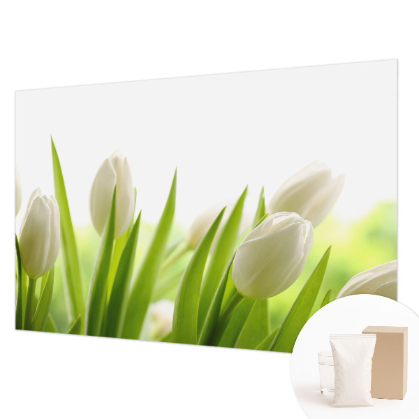 Fotovæg med hvide tulipaner