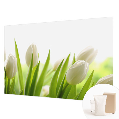 Fotovæg med hvide tulipaner