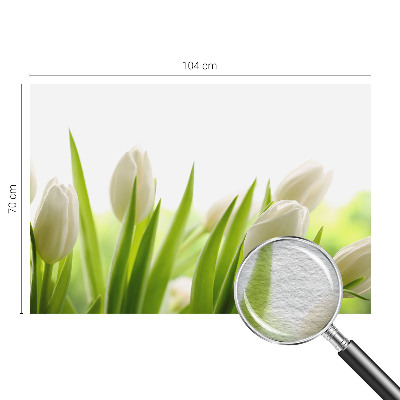 Fotovæg med hvide tulipaner