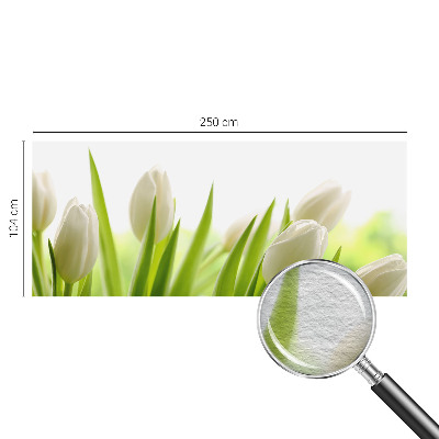 Fotovæg med hvide tulipaner
