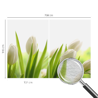 Fotovæg med hvide tulipaner