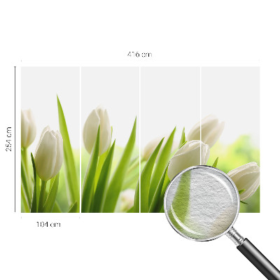 Fotovæg med hvide tulipaner