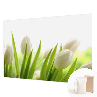 Fotovæg med hvide tulipaner