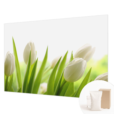 Fotovæg med hvide tulipaner