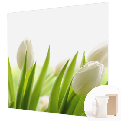 Fotovæg med hvide tulipaner