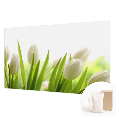 Fotovæg med hvide tulipaner
