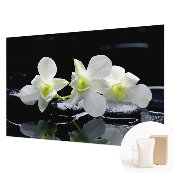 Fototapet stue med motiv af blomster og sten