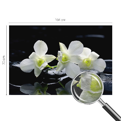Fototapet stue med motiv af blomster og sten