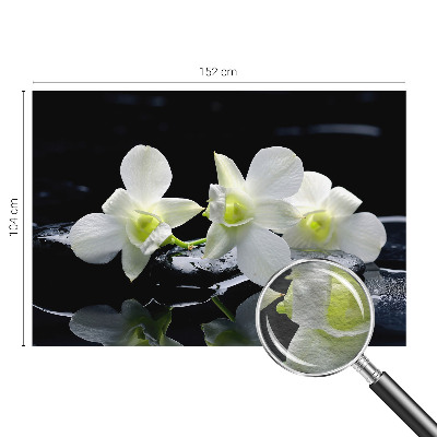 Fototapet stue med motiv af blomster og sten