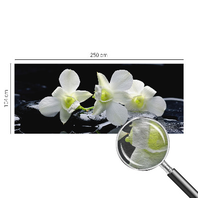 Fototapet stue med motiv af blomster og sten