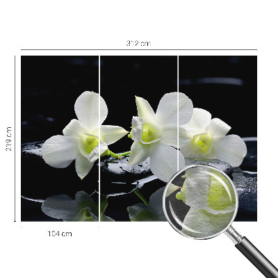 Fototapet stue med motiv af blomster og sten
