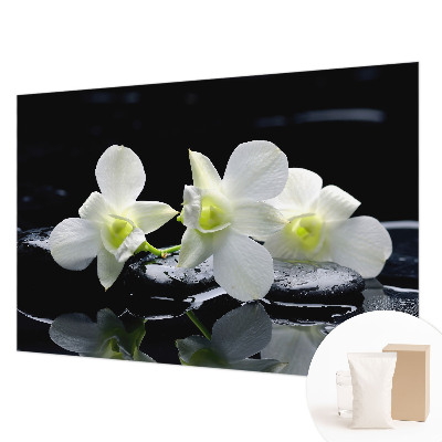 Fototapet stue Blomster og sten