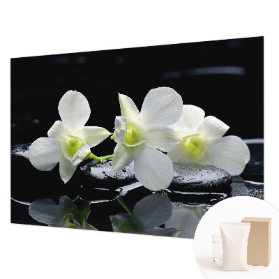 Fototapet stue Blomster og sten