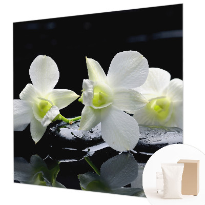 Fototapet stue Blomster og sten