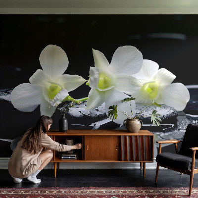 Fototapet stue med motiv af blomster og sten