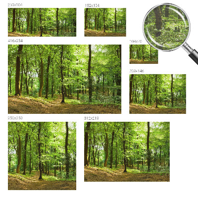 Fototapet på mål Naturlig sti