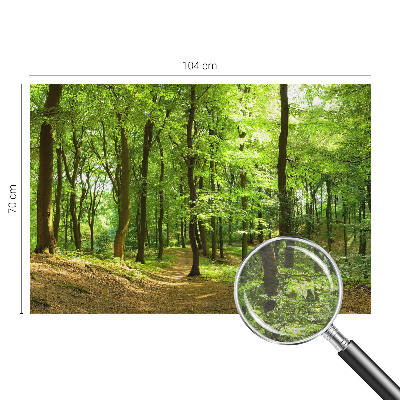 Fototapet på mål Naturlig sti