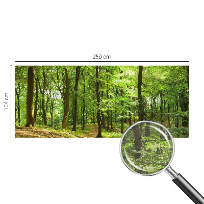 Fototapet på mål Naturlig sti