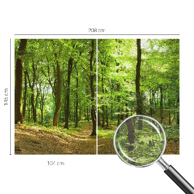 Fototapet på mål Naturlig sti