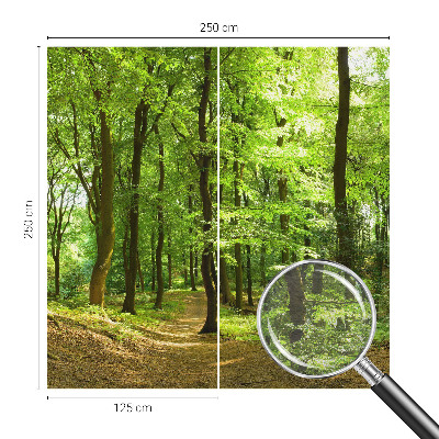 Fototapet på mål Naturlig sti