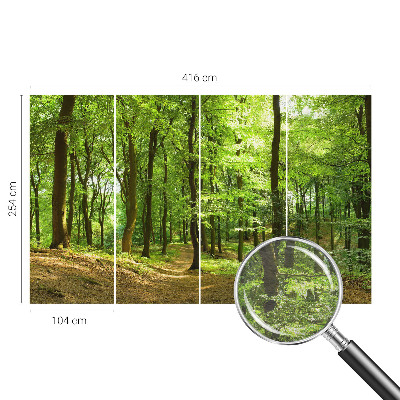 Fototapet på mål Naturlig sti