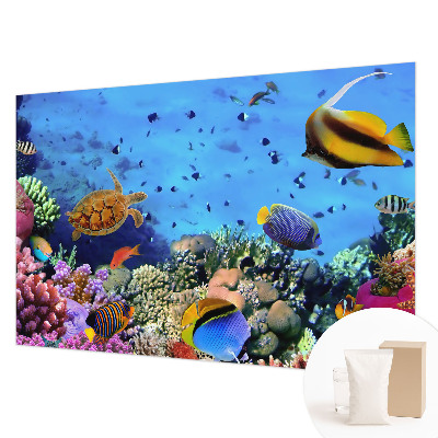 Modern fototapet Koralrev