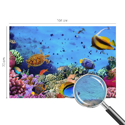 Modern fototapet Koralrev